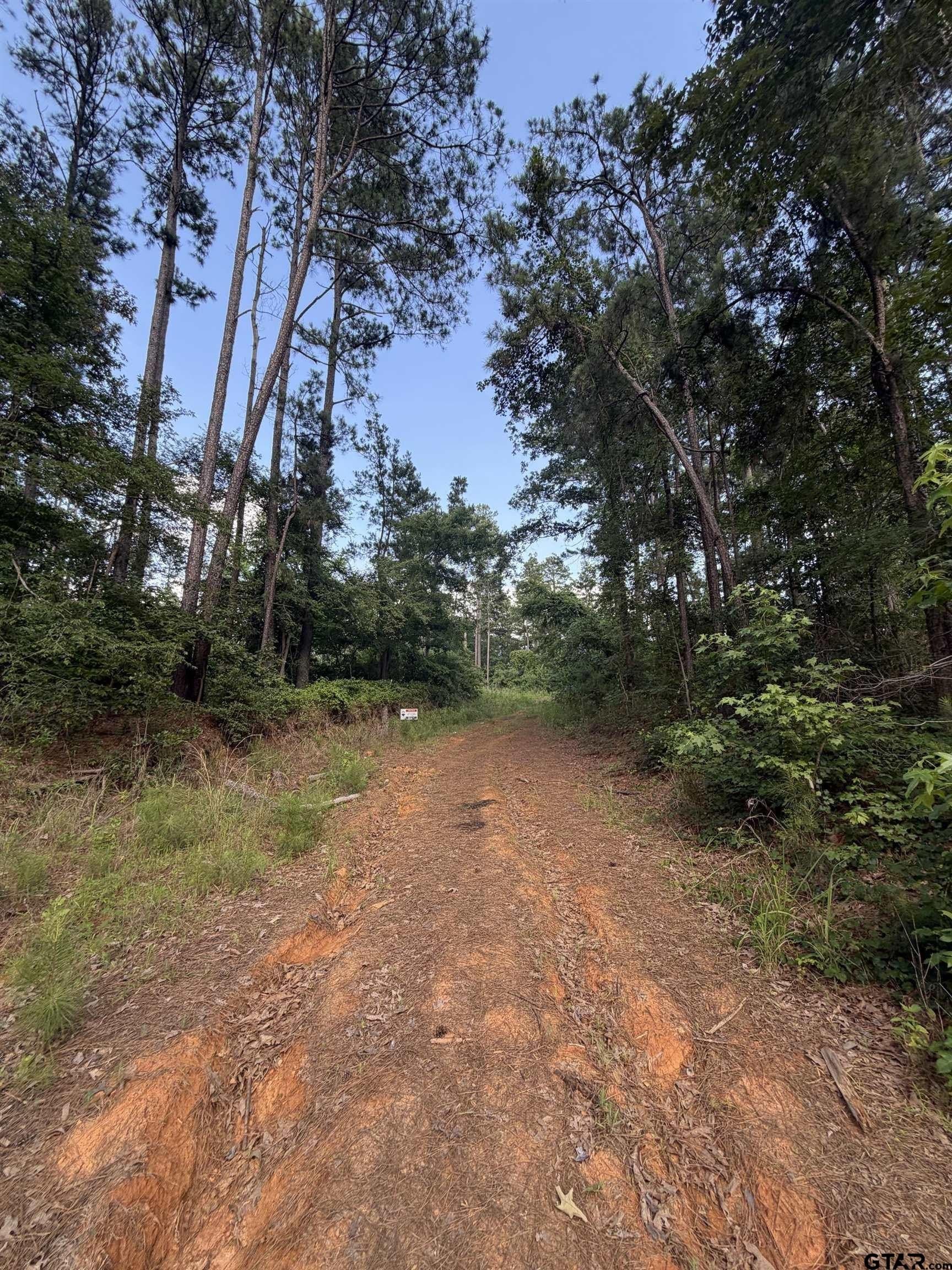 0.27 acres in Smith County - photo 10