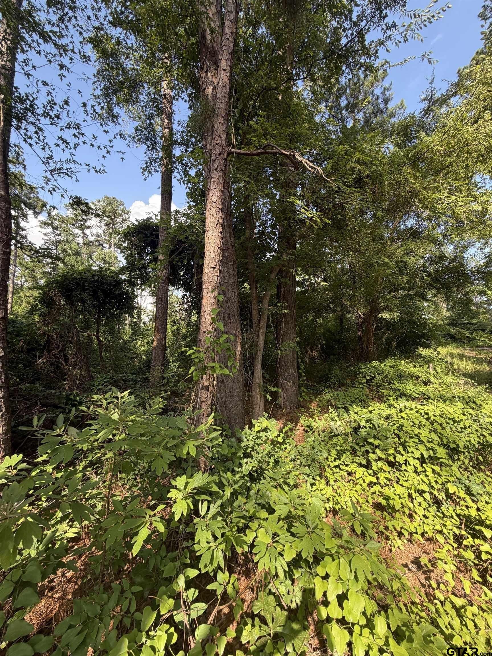 0.27 acres in Smith County - photo 6