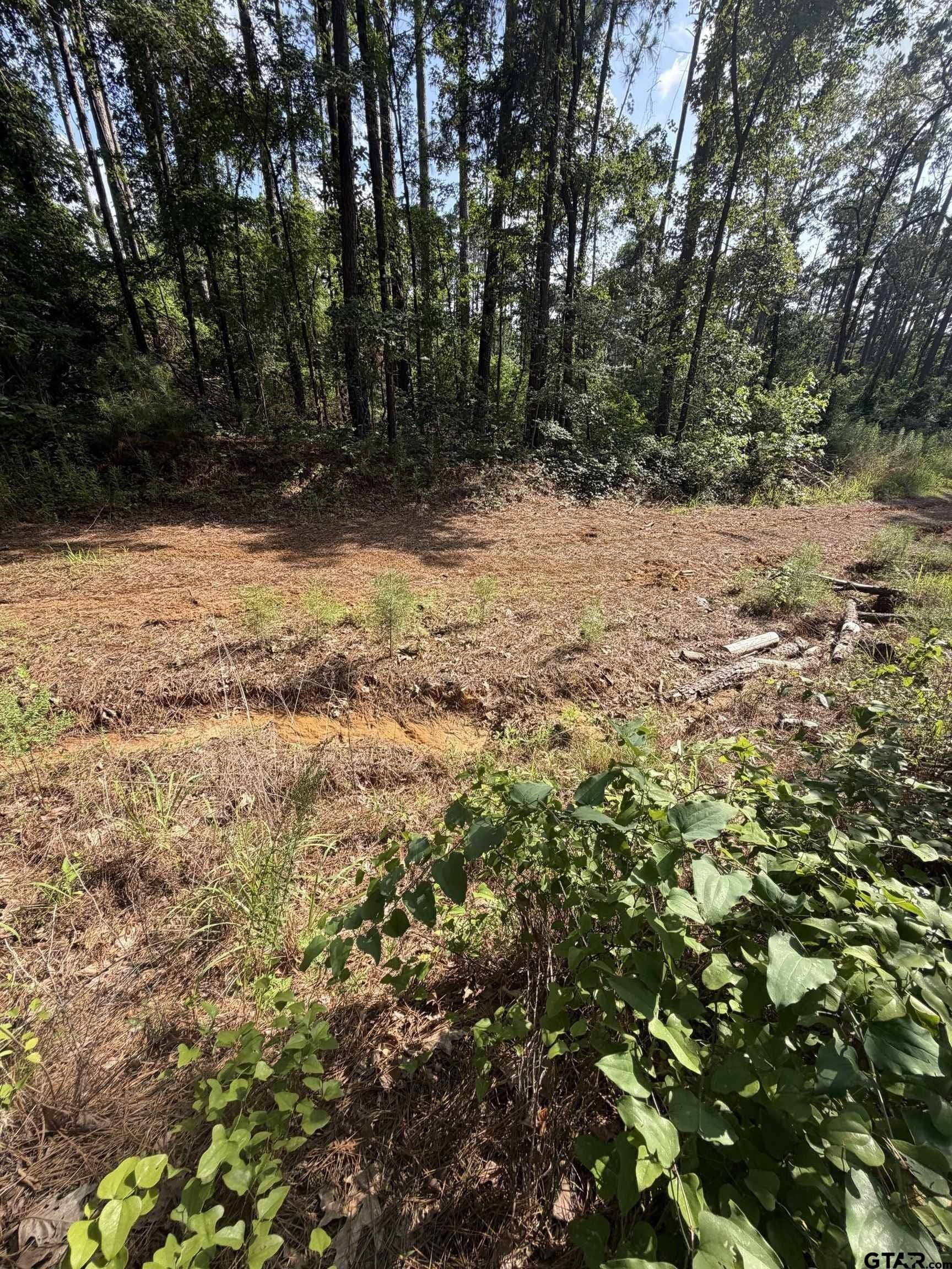 0.27 acres in Smith County - photo 8