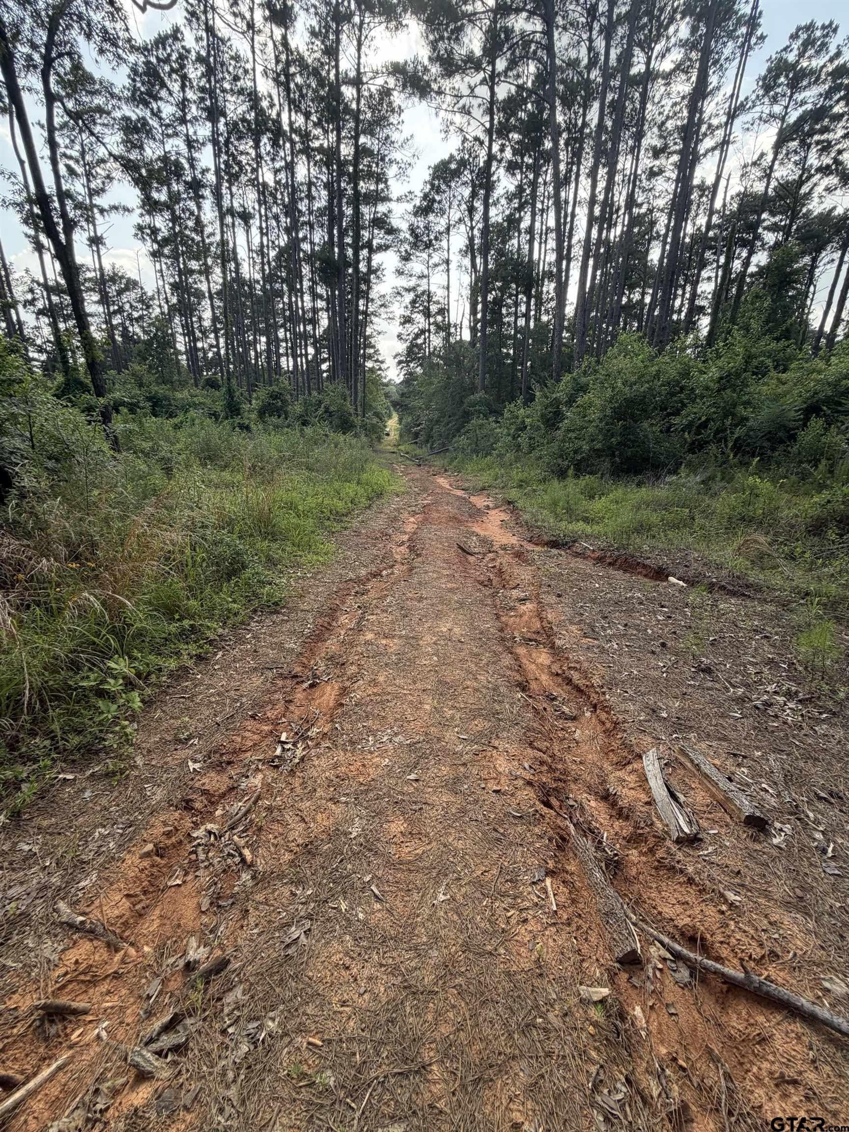 0.27 acres in Smith County - photo 11