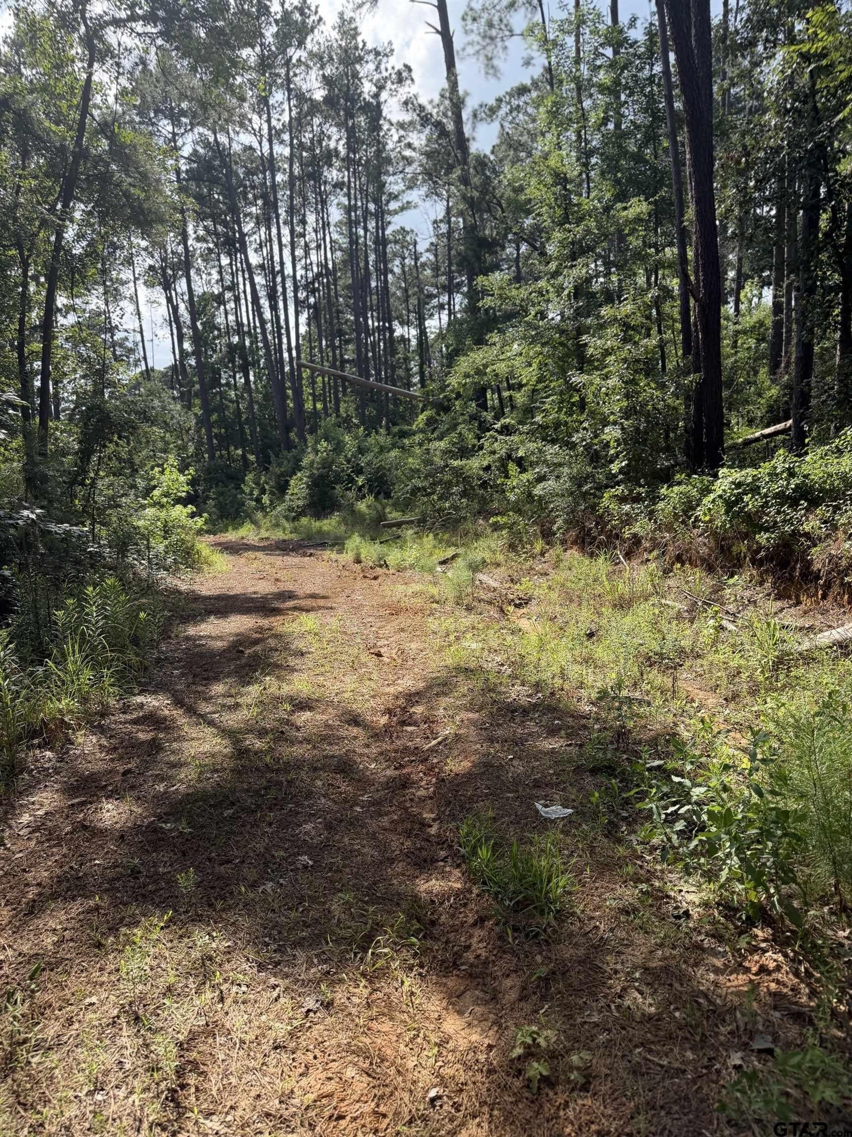 0.27 acres in Smith County - photo 9