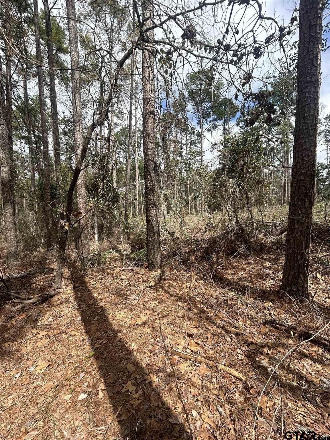 0.27 acres in Smith County - photo 3