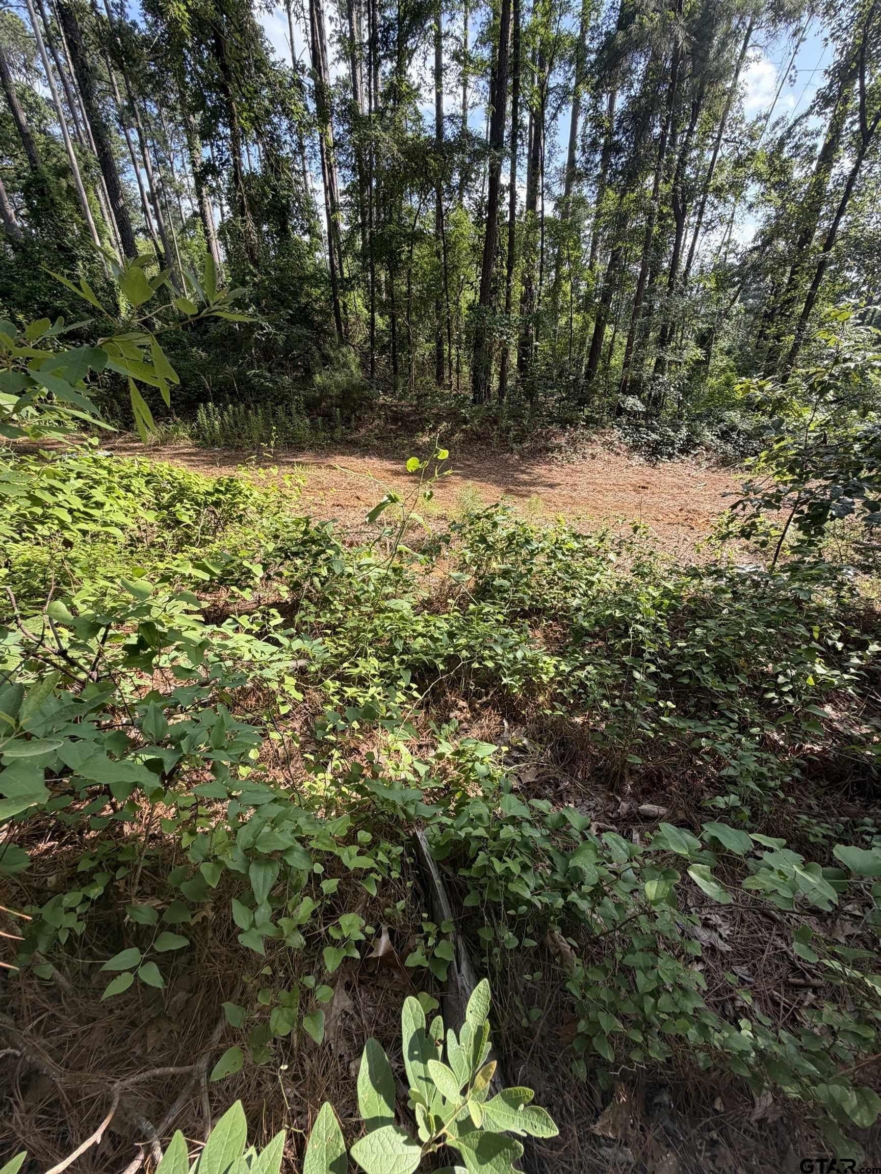 0.27 acres in Smith County - photo 7