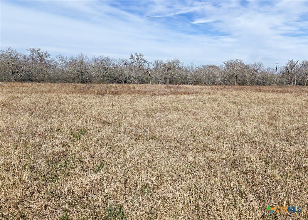 6.65 acres in Gonzales County gallery image 2