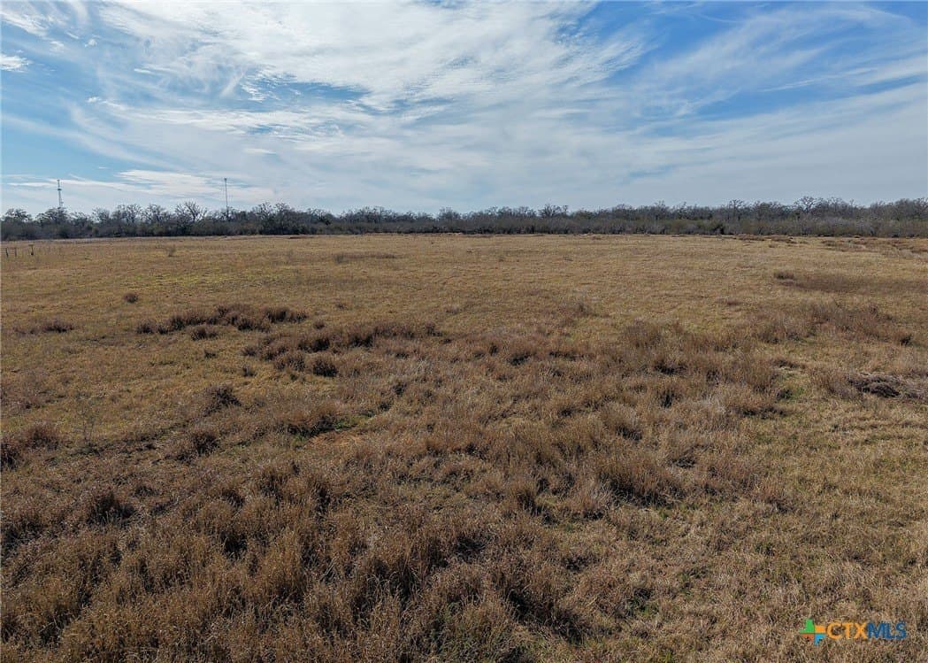 6.65 acres in Gonzales County gallery image 4