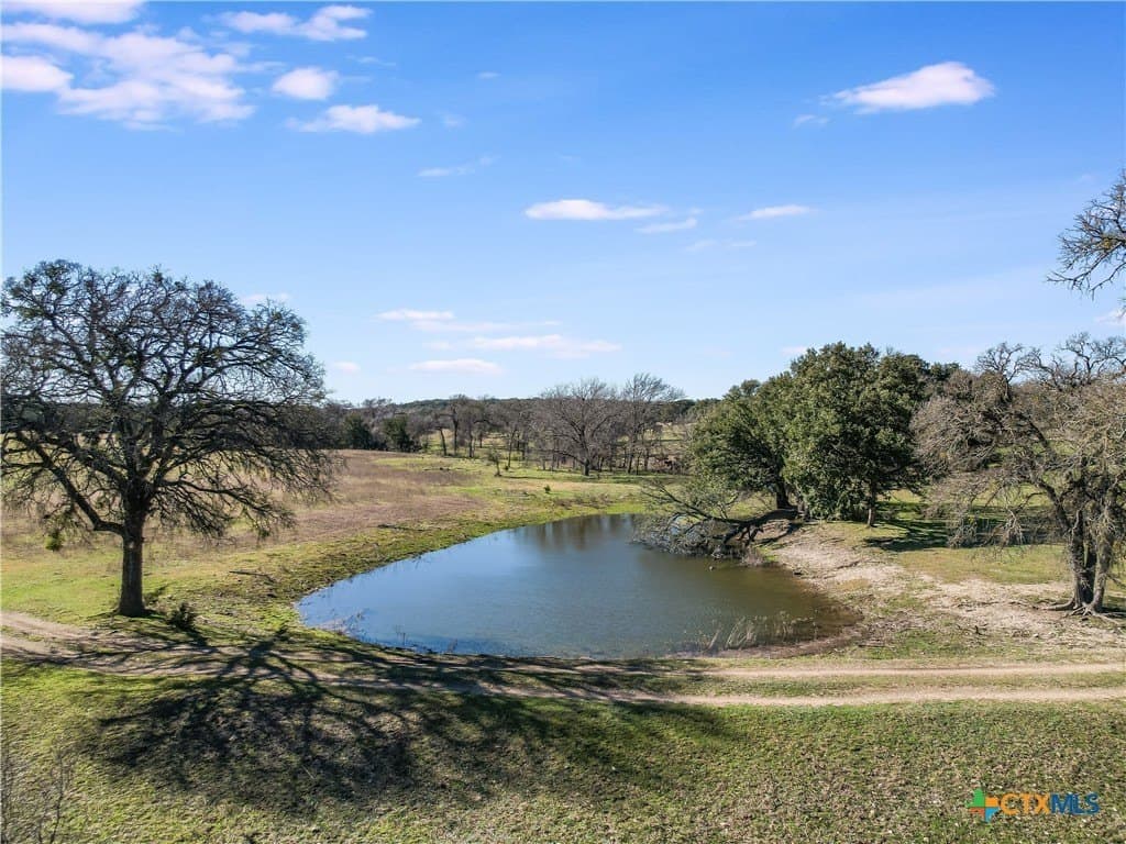 167 acres in Bell County gallery image 2