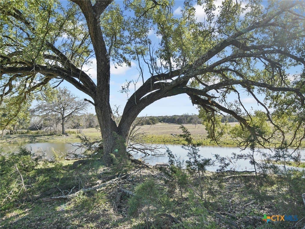 167 acres in Bell County featured view