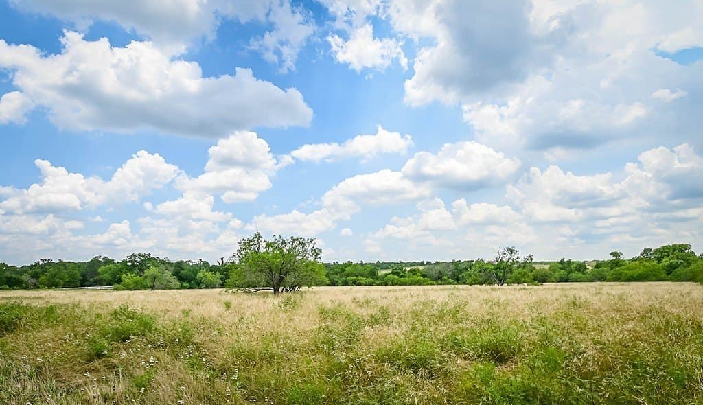10.01 acres in Gonzales County - photo 6