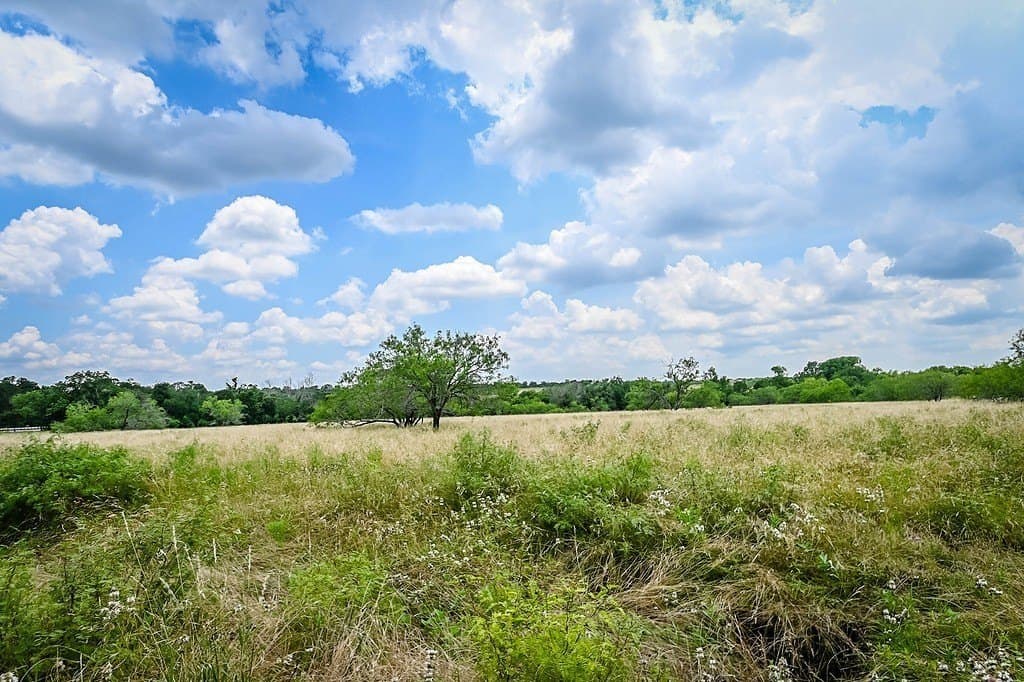 10.01 acres in Gonzales County - photo 8