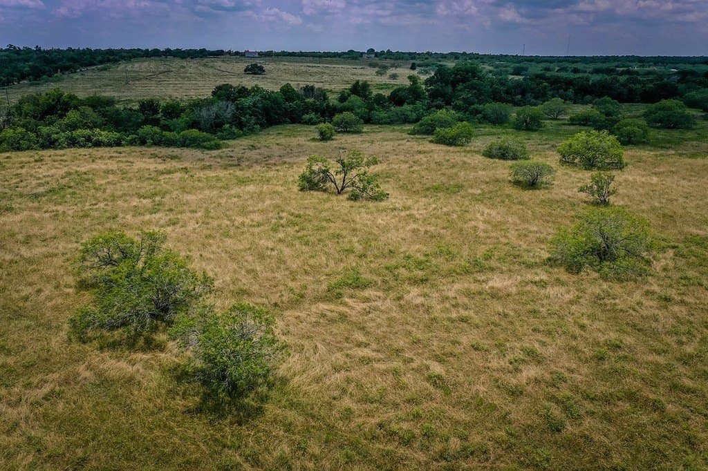 10.01 acres in Gonzales County - photo 10