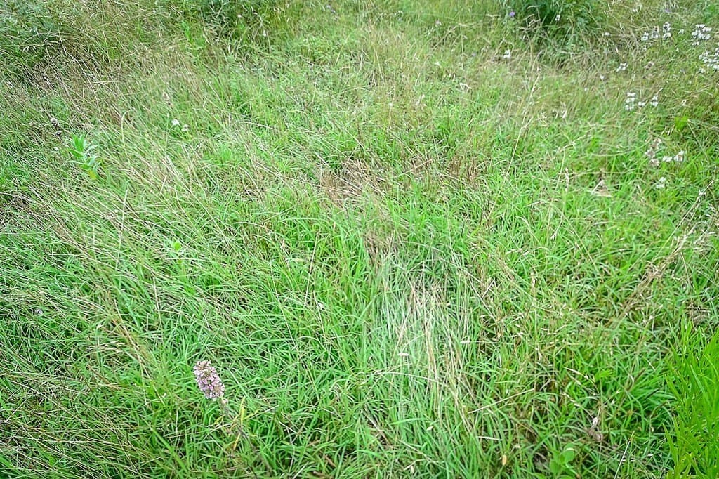 10.01 acres in Gonzales County - photo 7