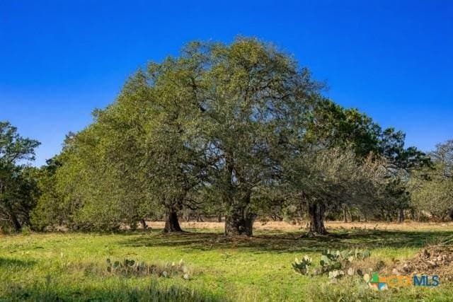 12.92 acres in Burnet County - photo 6