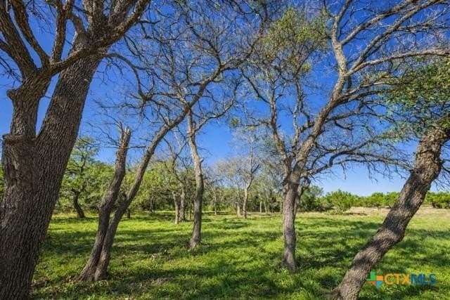 12.92 acres in Burnet County - photo 11