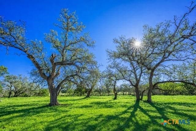 12.92 acres in Burnet County - photo 8