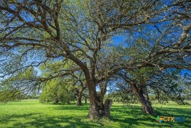 12.92 acres in Burnet County - photo 9