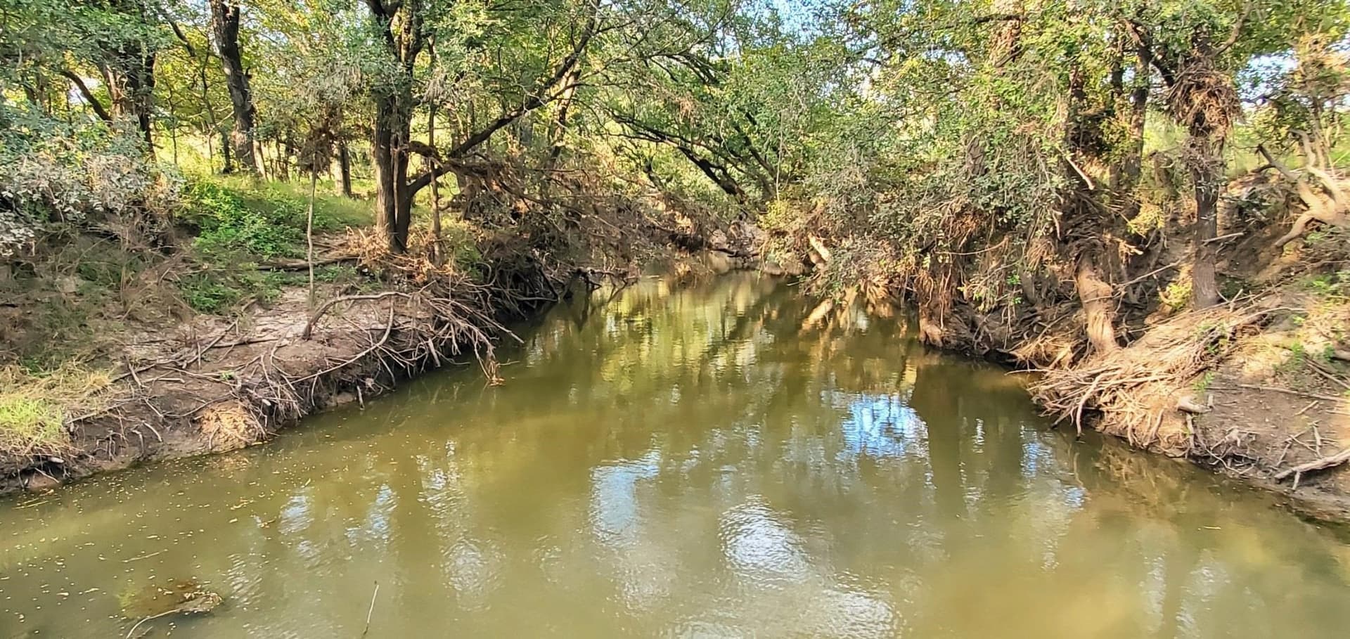 264.09 acres in San Saba County - photo 23