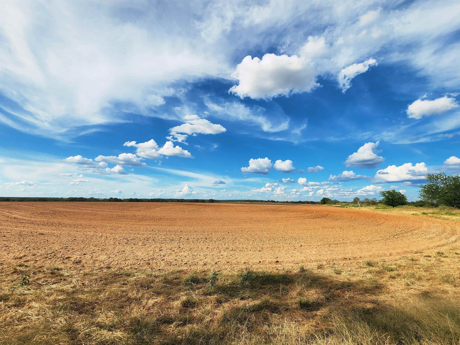 264.09 acres in San Saba County gallery image 2