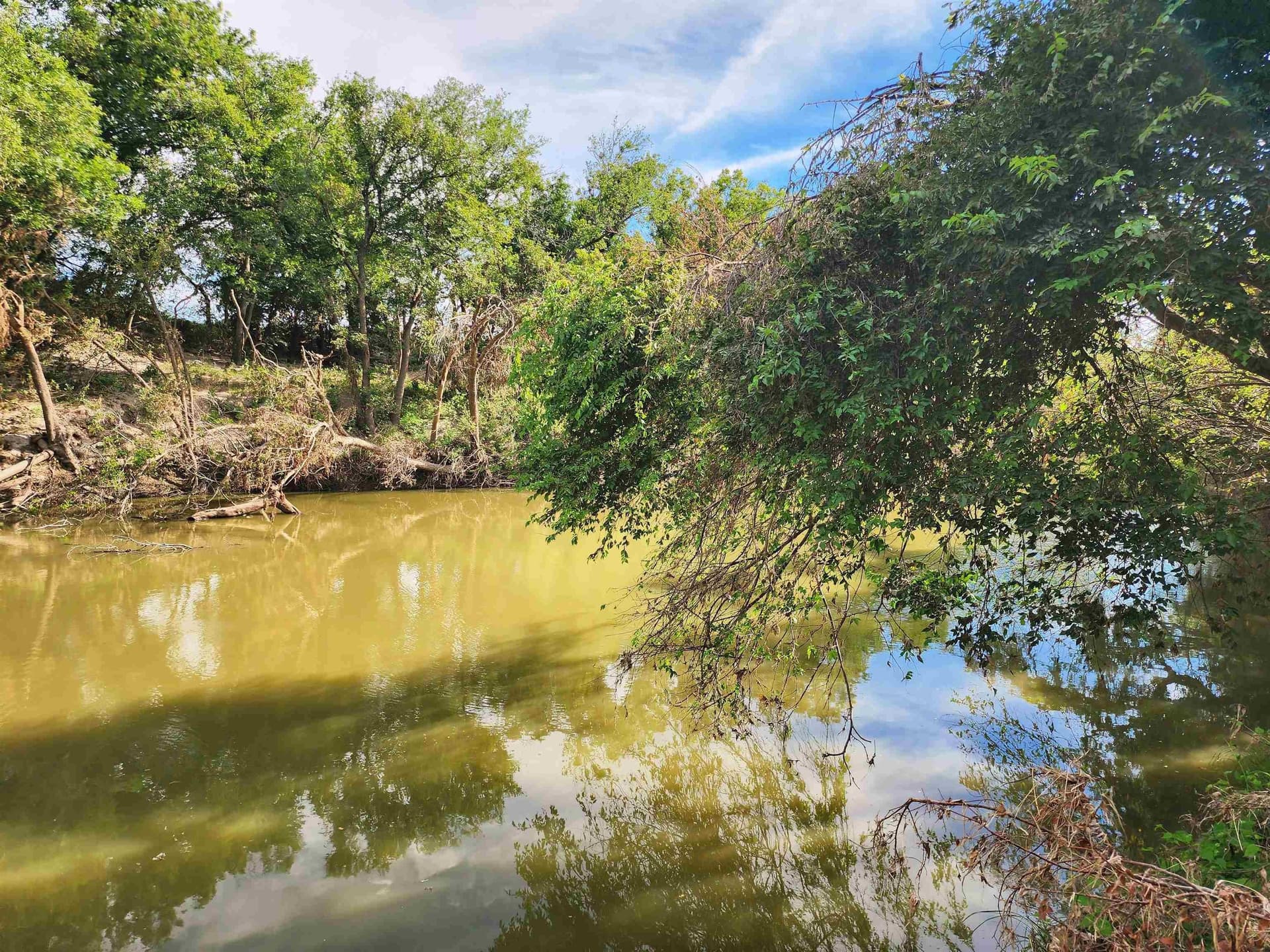 264.09 acres in San Saba County - photo 24