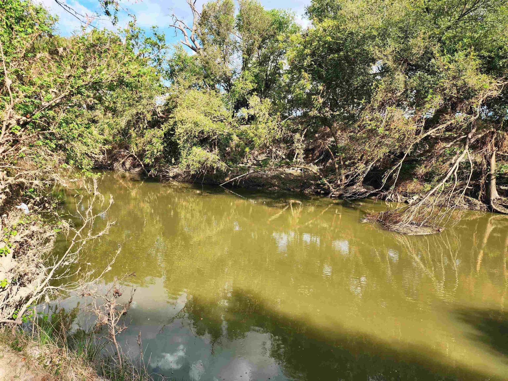 264.09 acres in San Saba County - photo 25