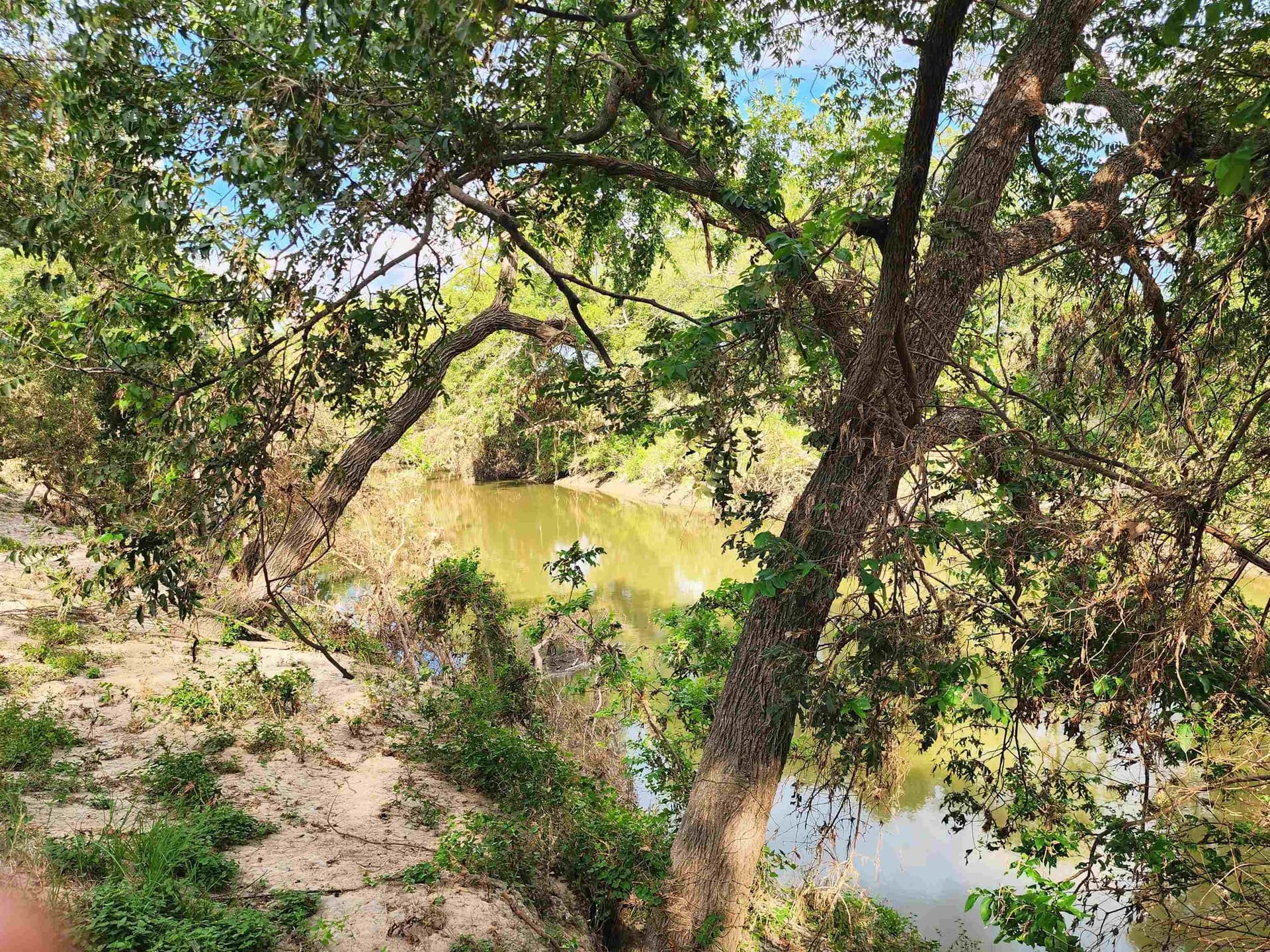 264.09 acres in San Saba County - photo 26