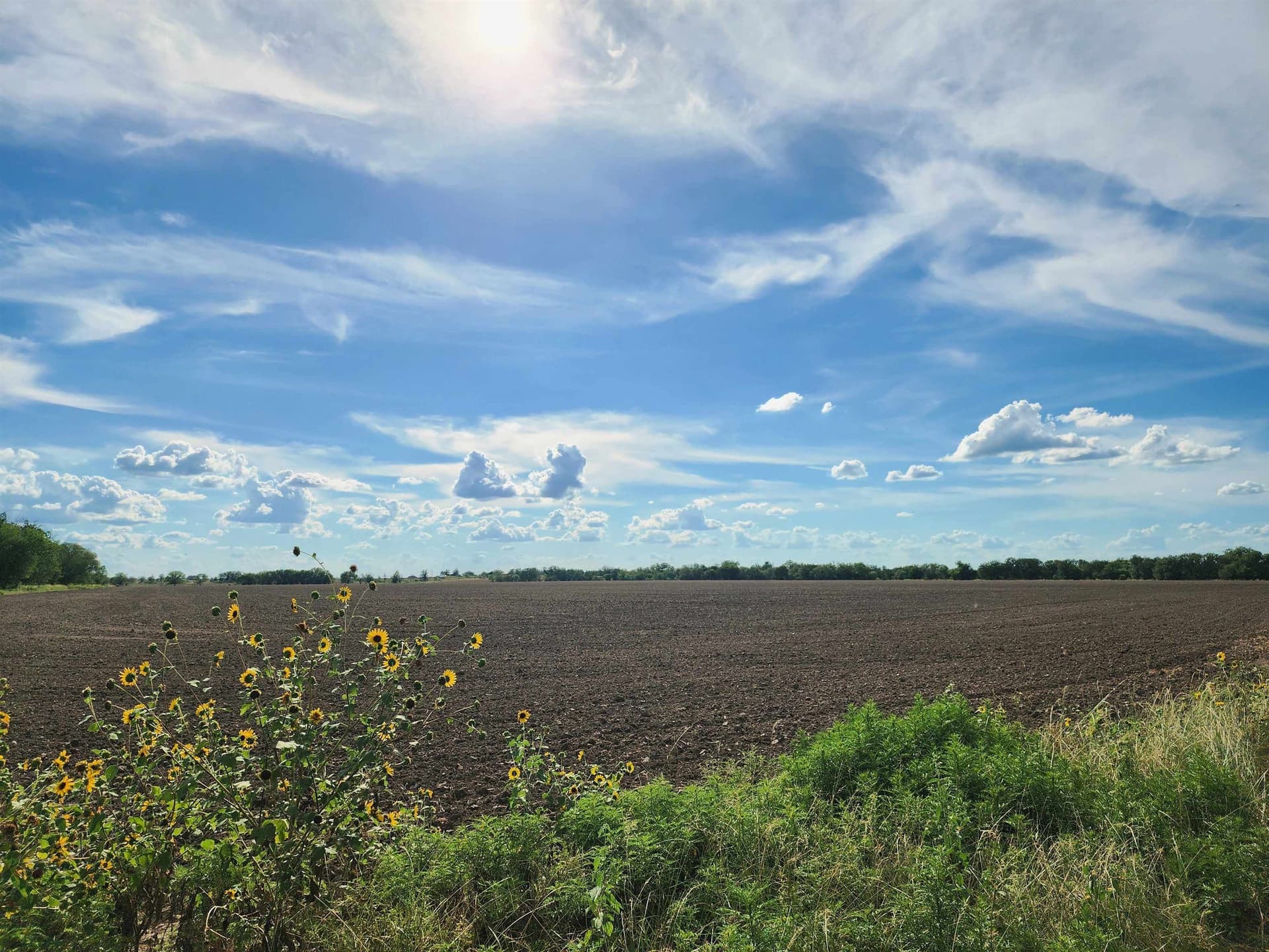 264.09 acres in San Saba County gallery image 4