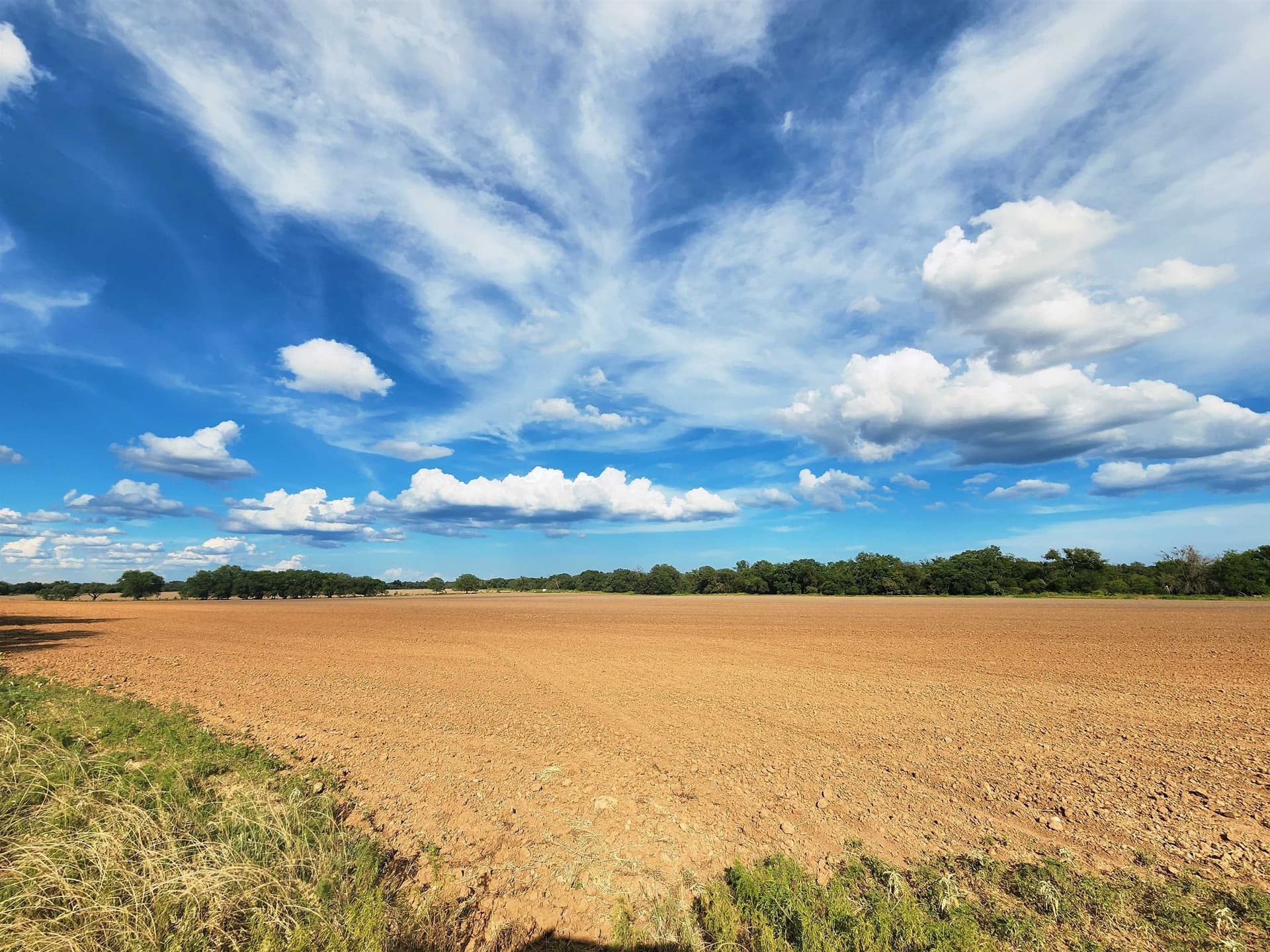 264.09 acres in San Saba County gallery image 3