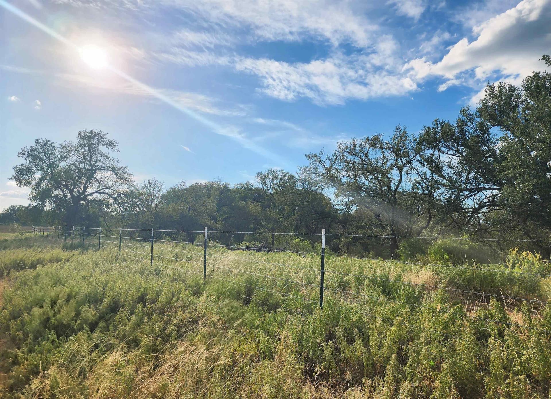 264.09 acres in San Saba County - photo 15