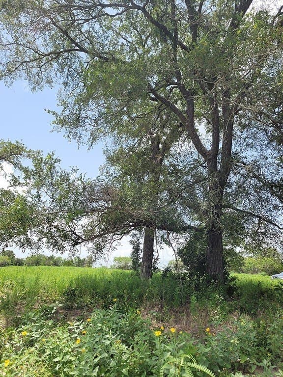 5.63 acres in Fayette County gallery image 4