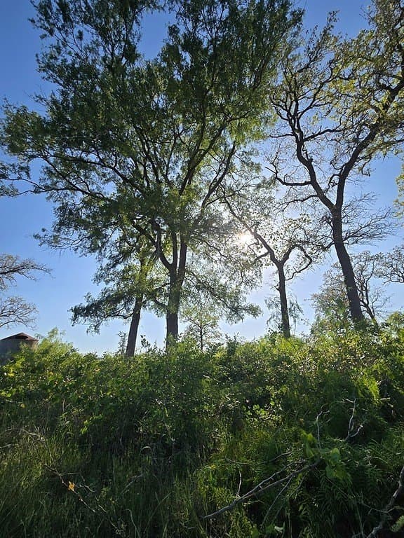 5.63 acres in Fayette County featured view