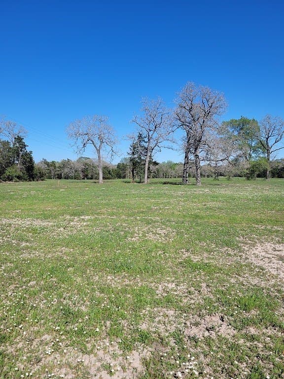 5.63 acres in Fayette County gallery image 3