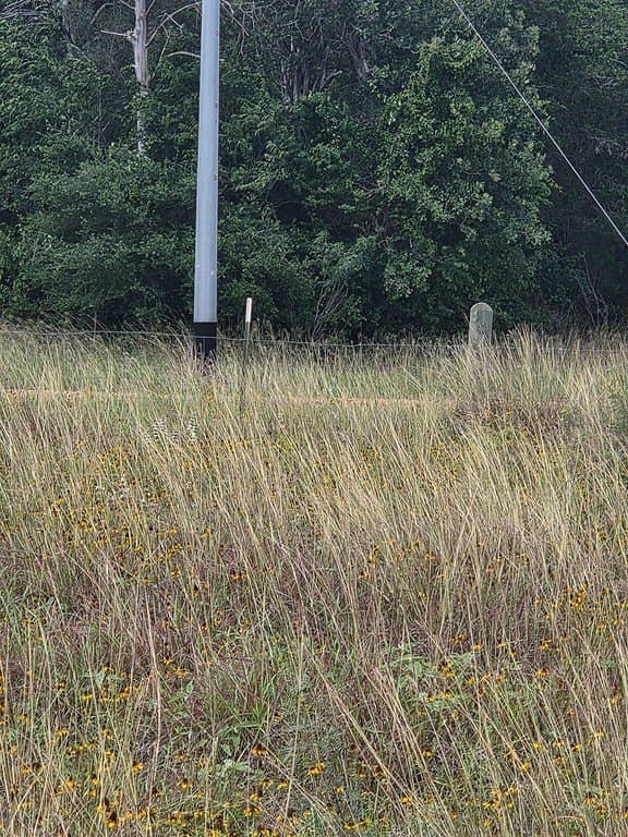 5.63 acres in Fayette County - photo 7