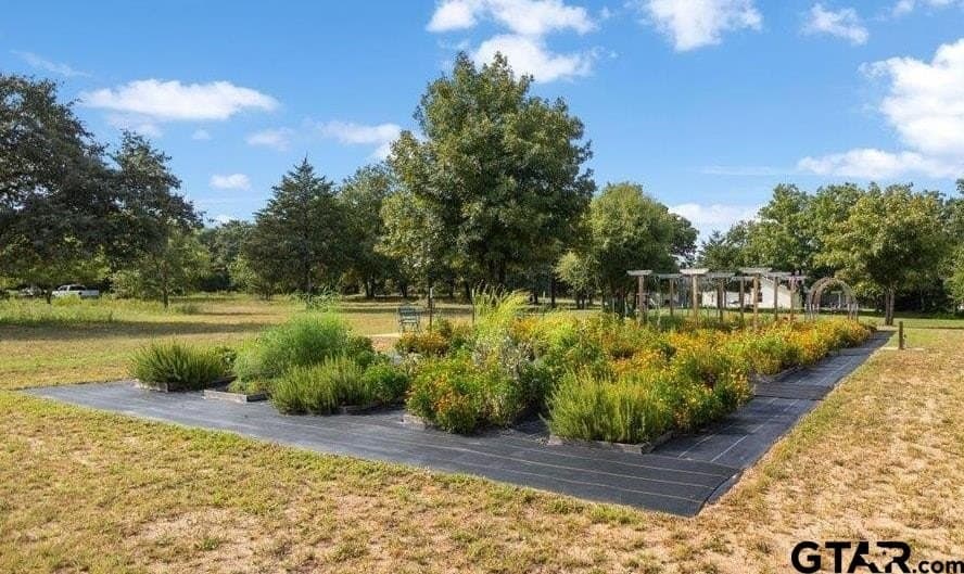 23 acres in Van Zandt County - photo 44