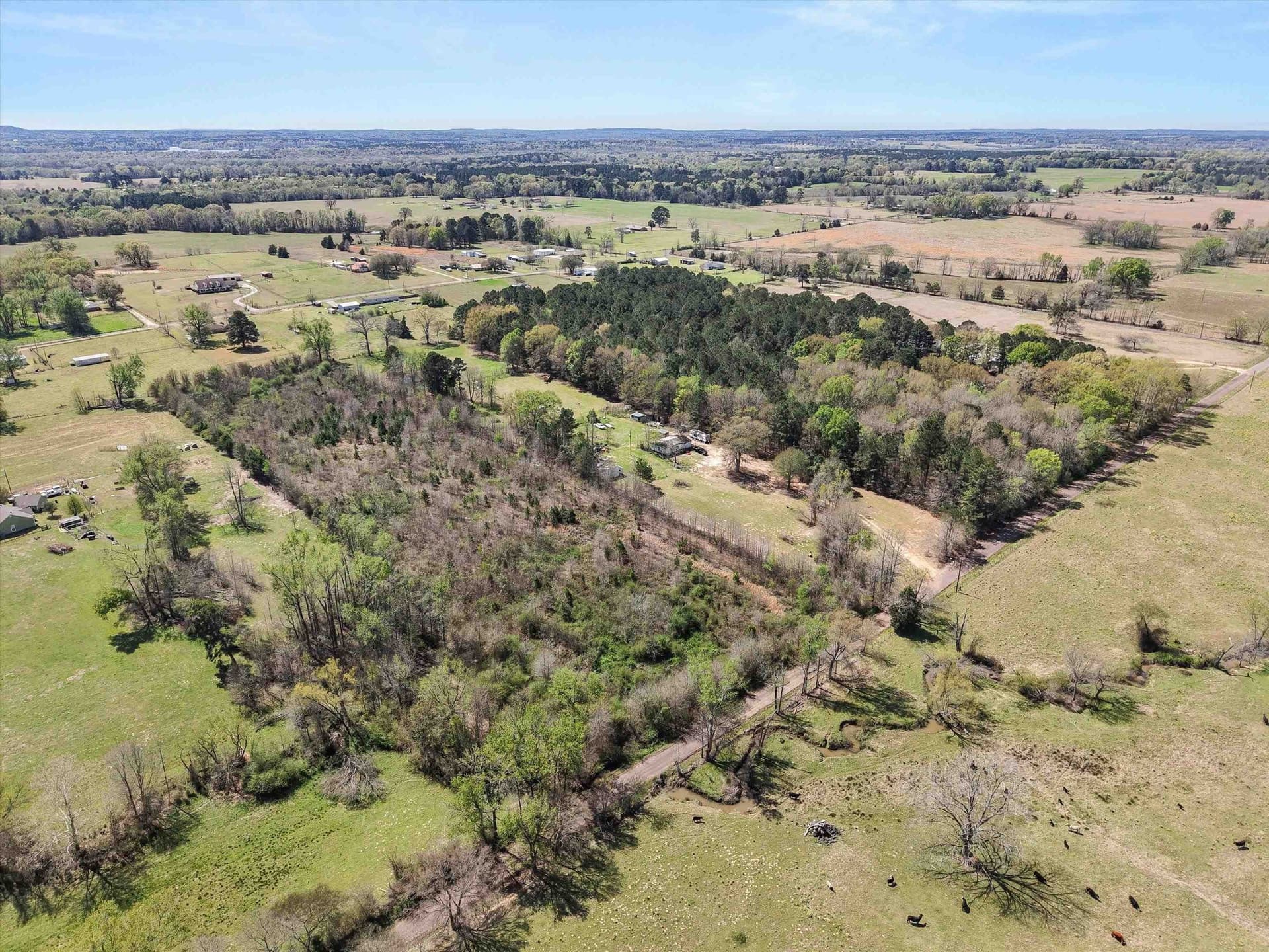 6.13 acres in Upshur County gallery image 3