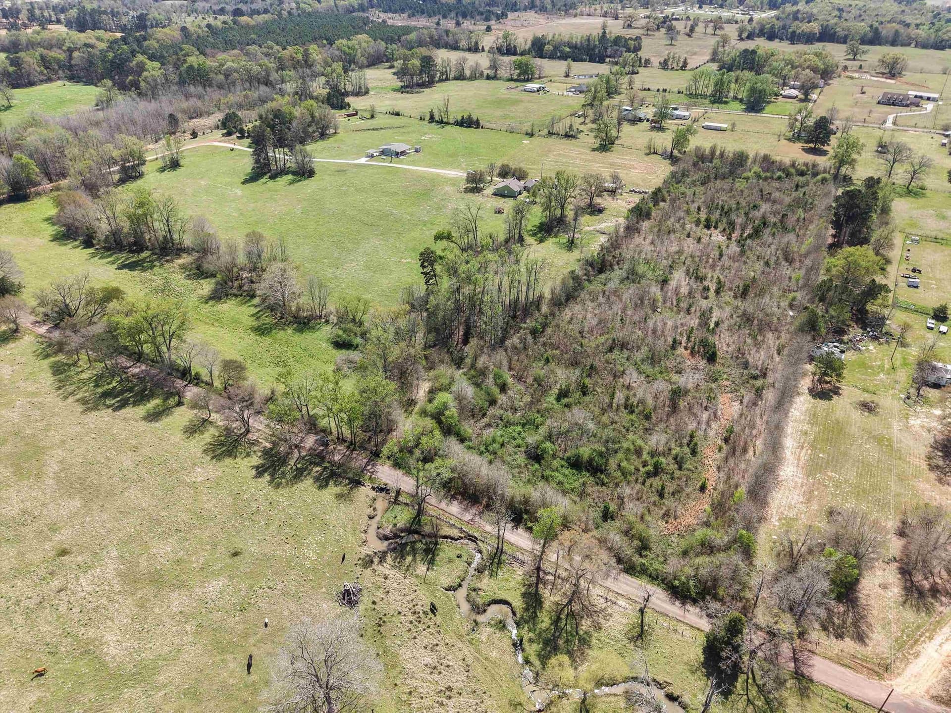 6.13 acres in Upshur County gallery image 4