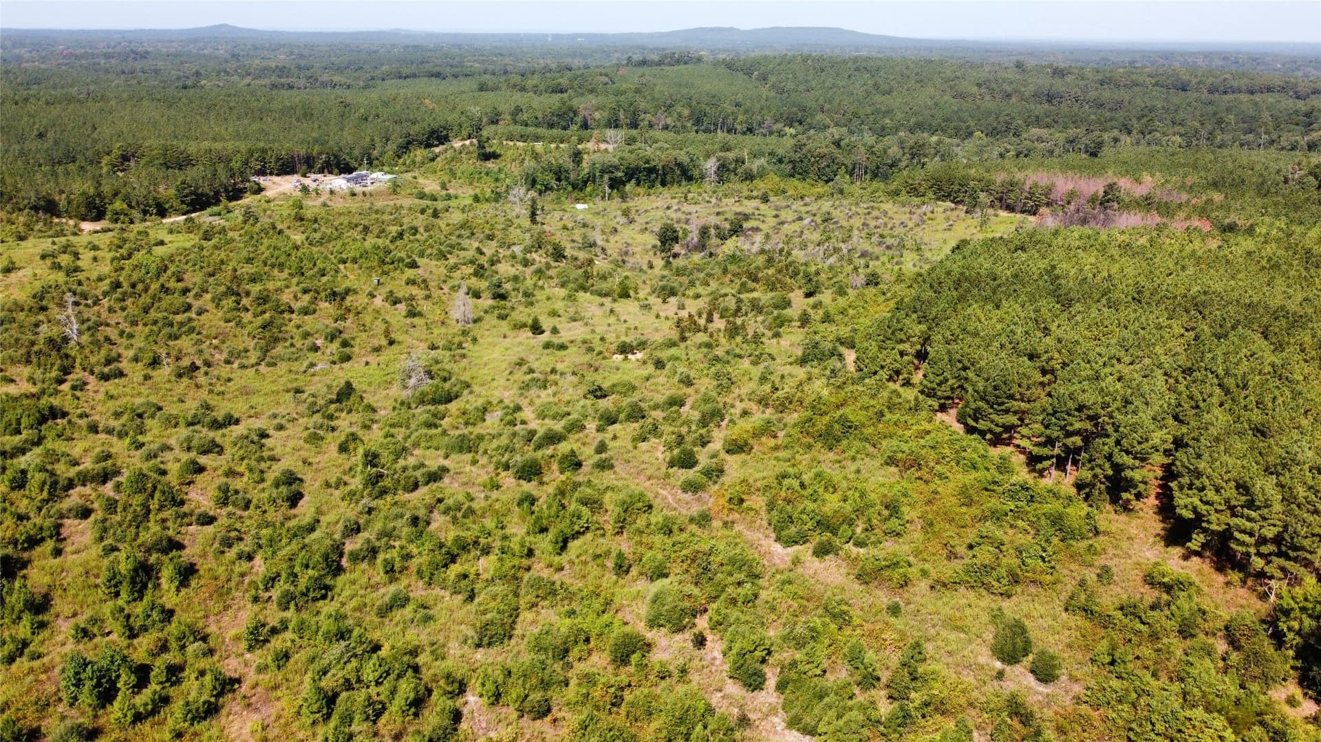 77.15 acres in Nacogdoches County - photo 6