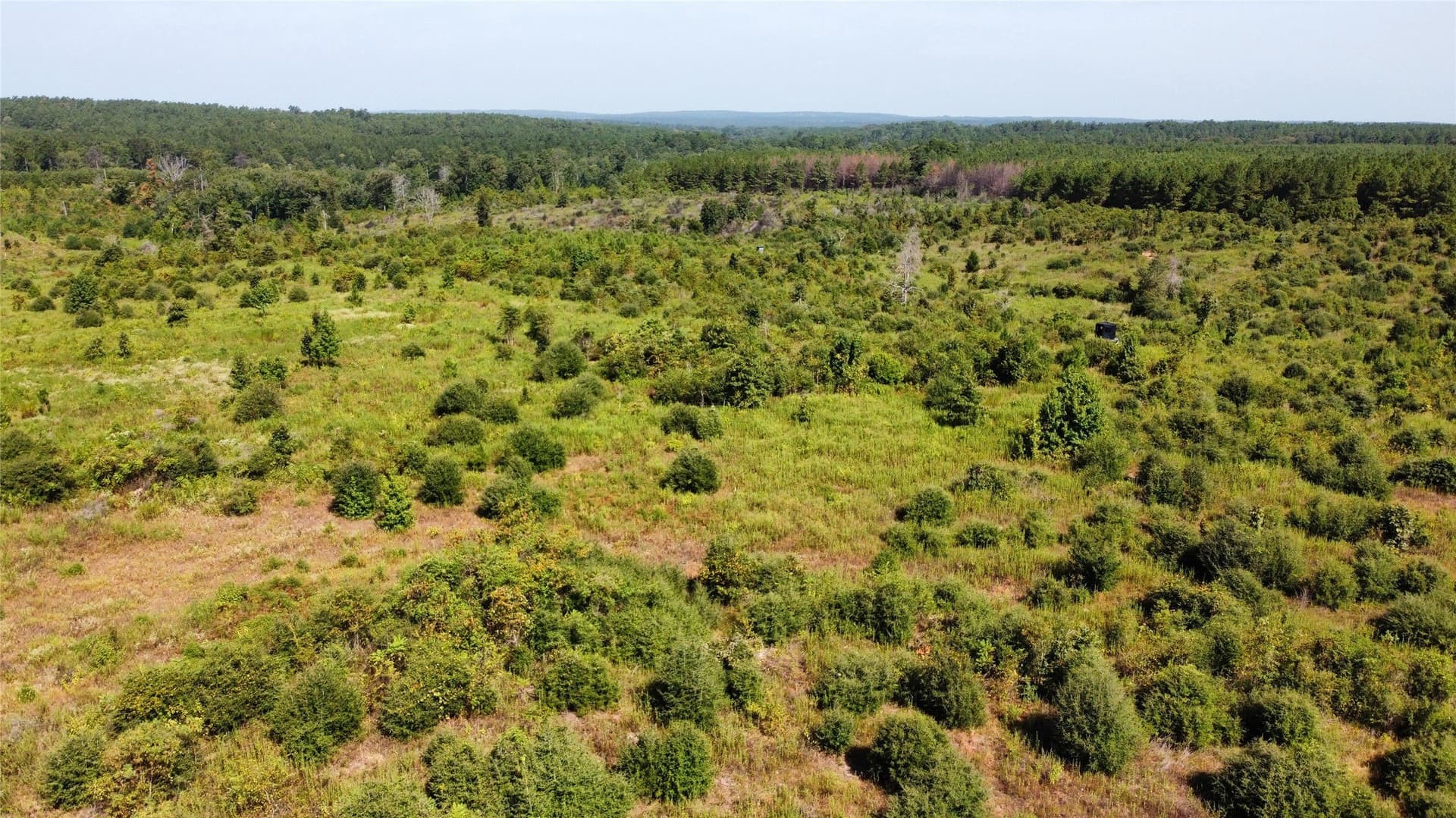 77.15 acres in Nacogdoches County - photo 10