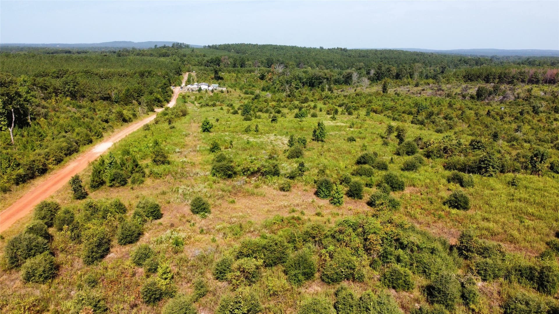 77.15 acres in Nacogdoches County - photo 9