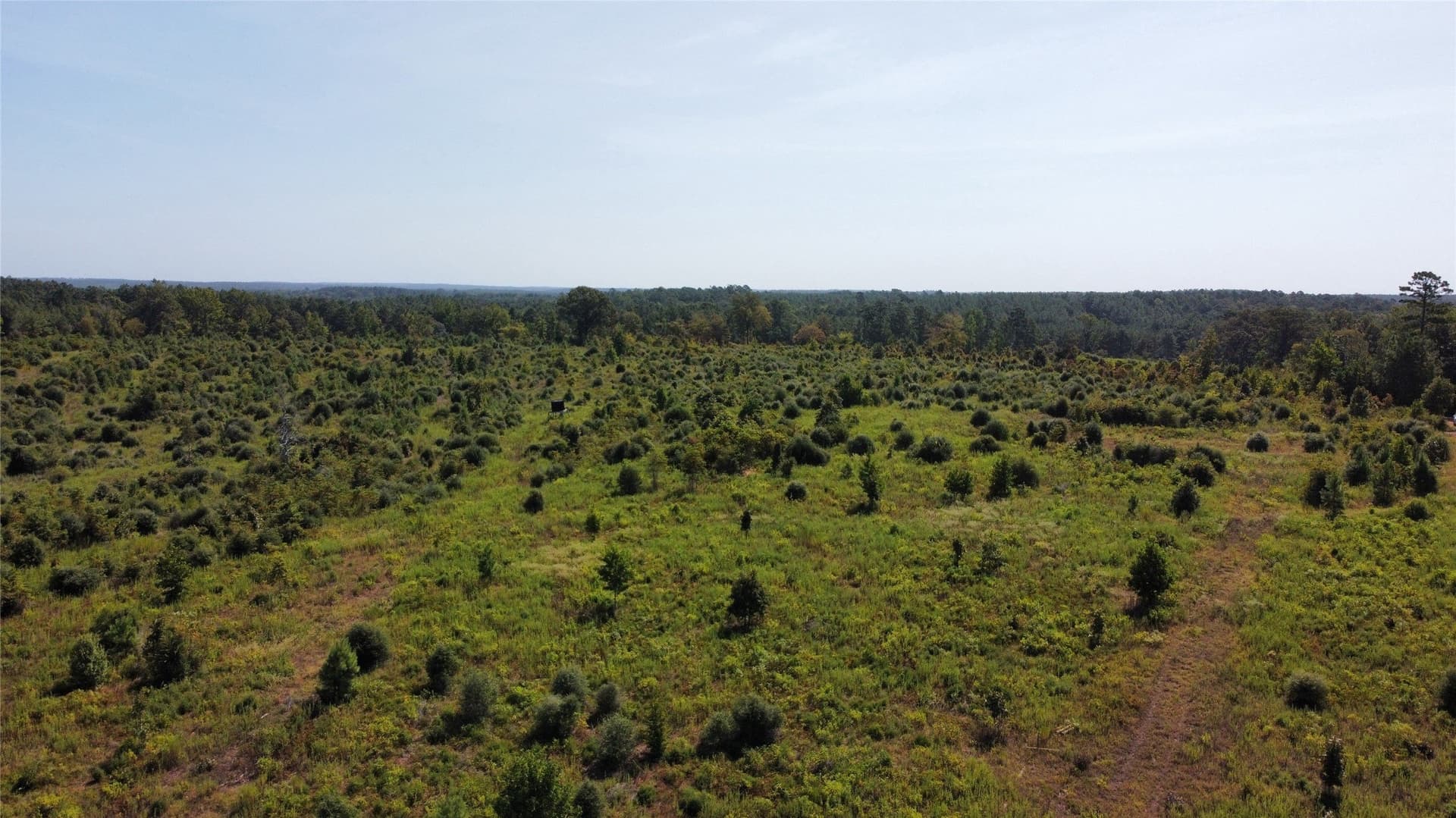 77.15 acres in Nacogdoches County - photo 13