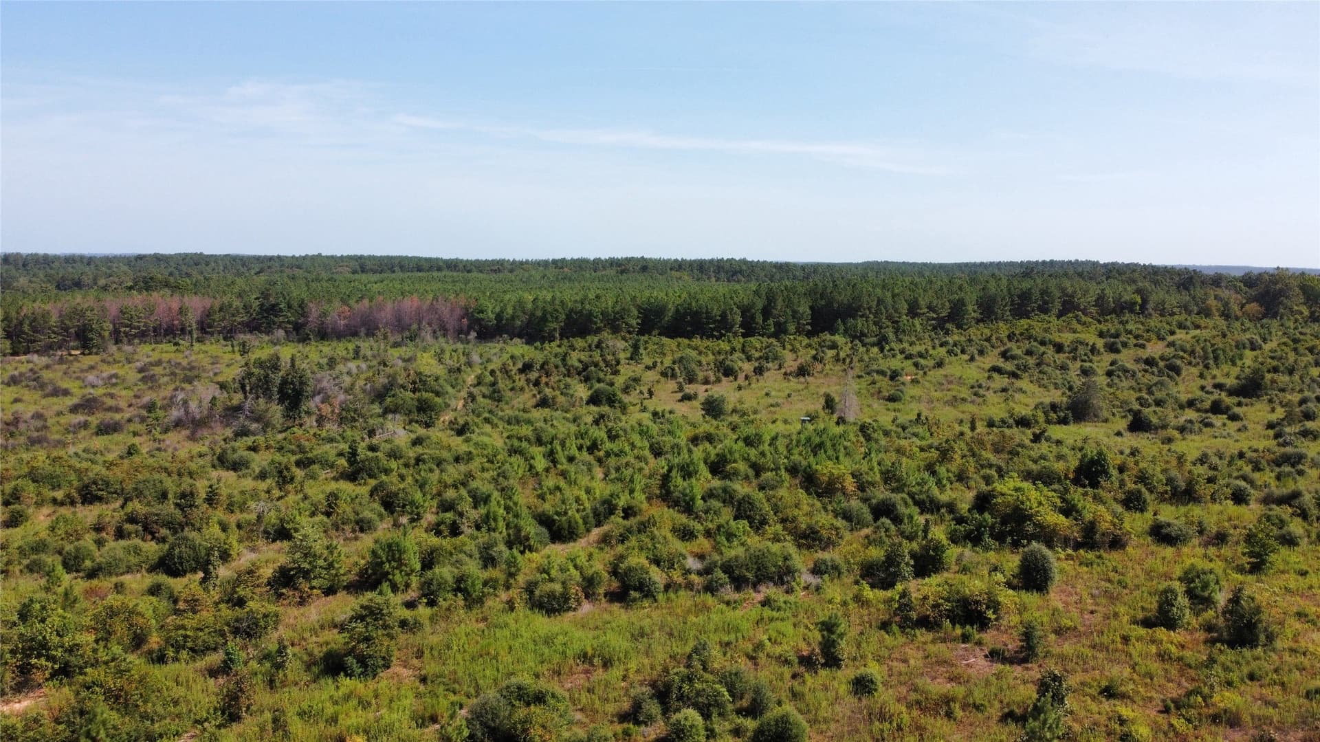 77.15 acres in Nacogdoches County - photo 14