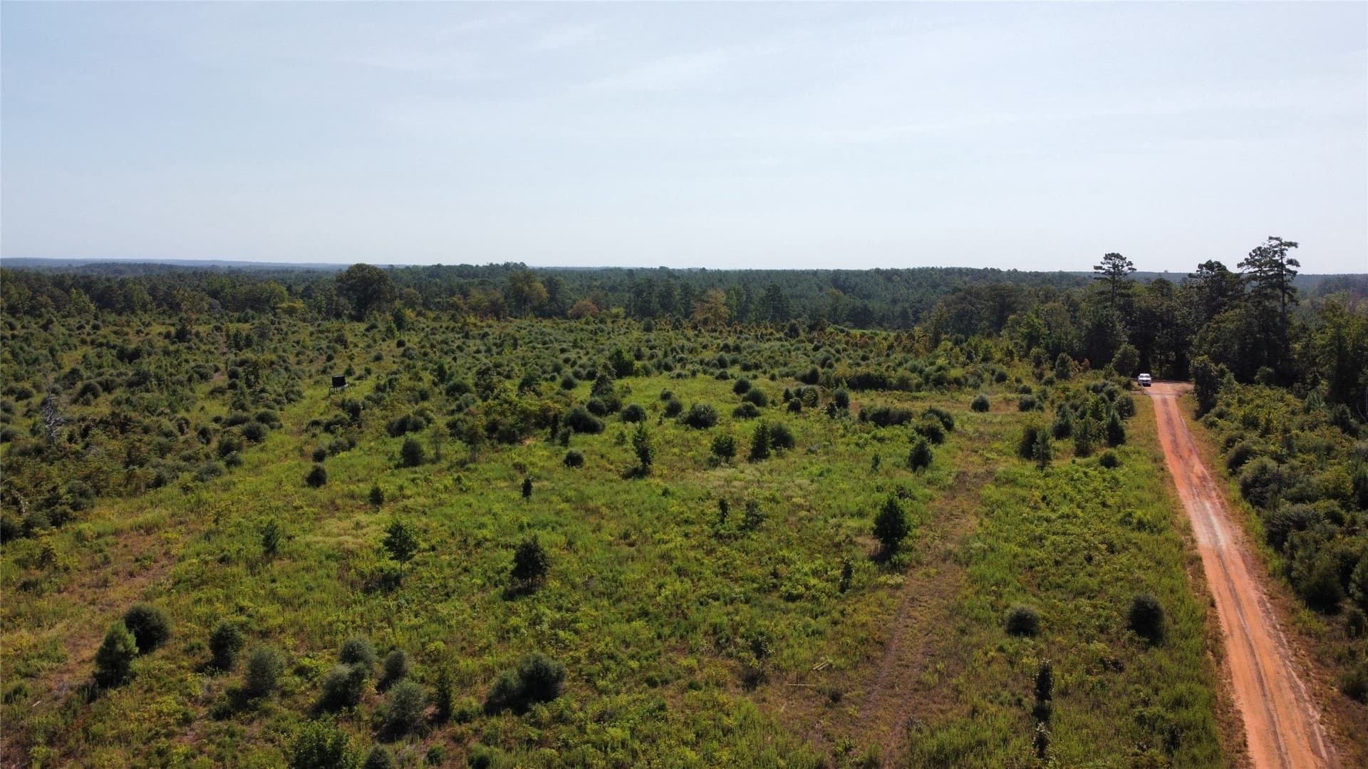 77.15 acres in Nacogdoches County - photo 12