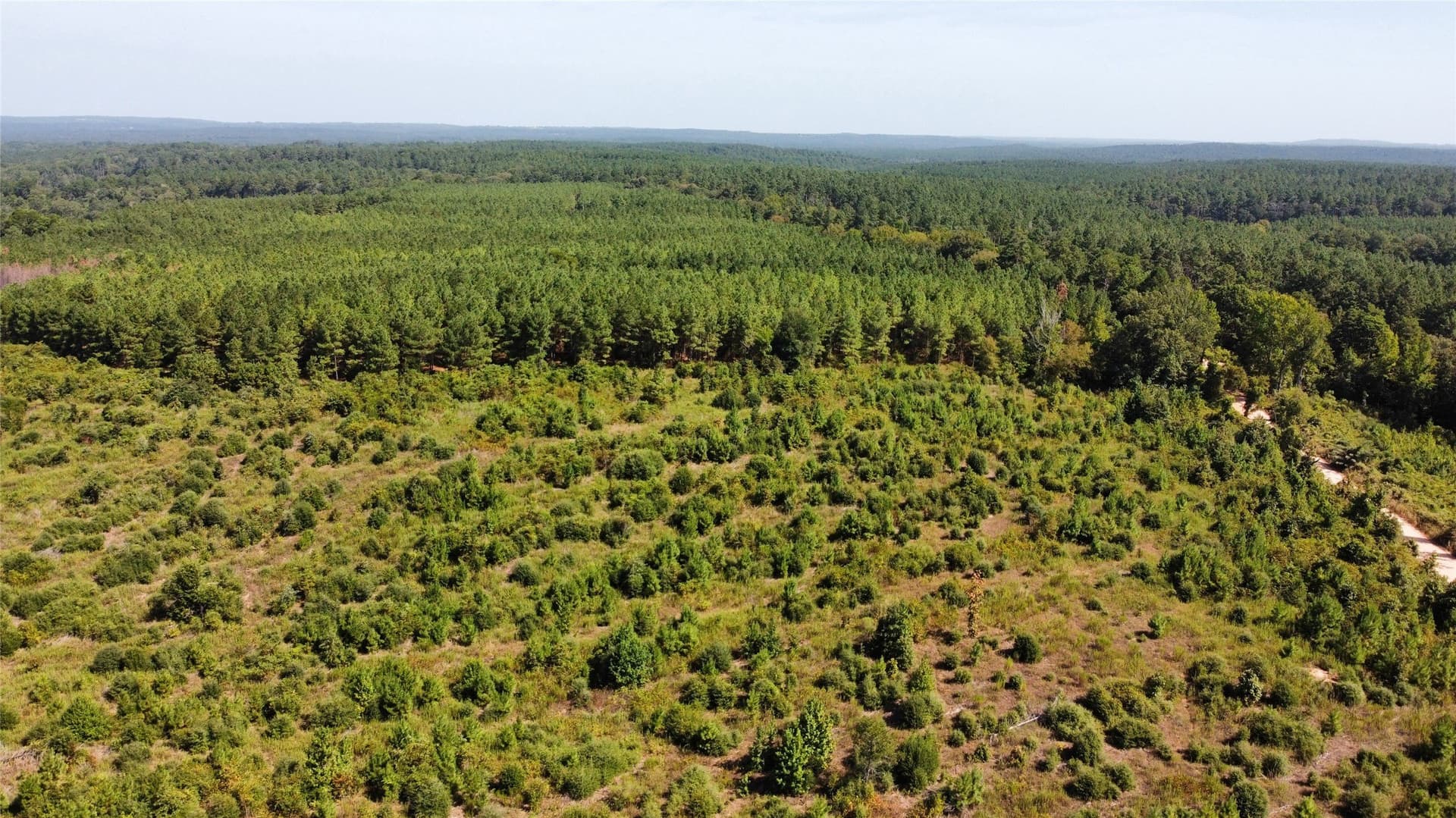 77.15 acres in Nacogdoches County - photo 8