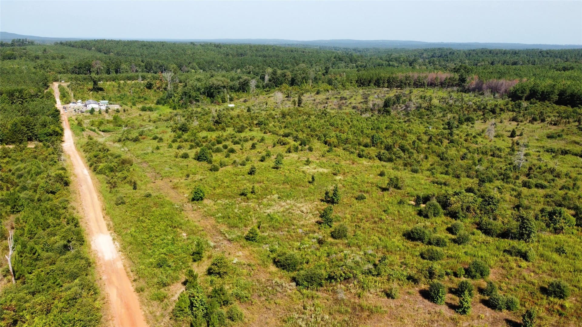 77.15 acres in Nacogdoches County - photo 21