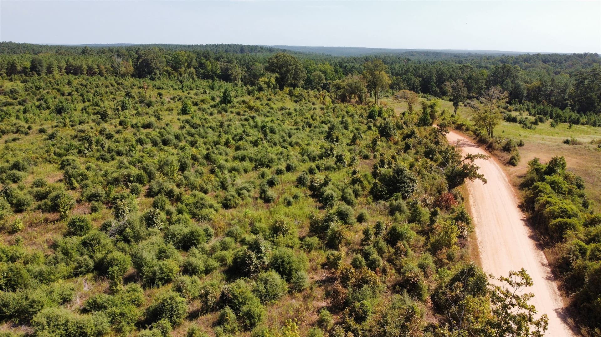 77.15 acres in Nacogdoches County - photo 11