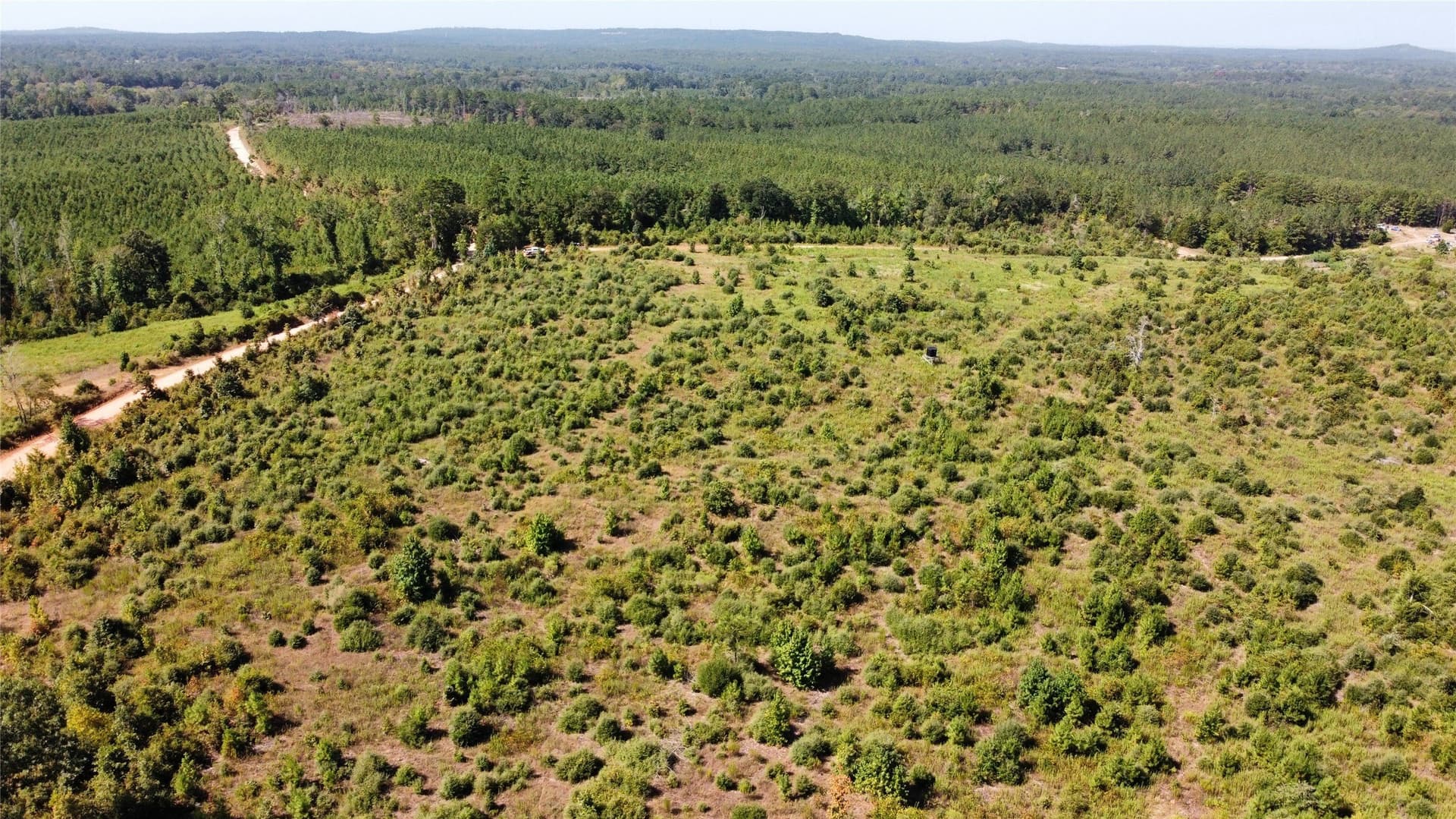 77.15 acres in Nacogdoches County - photo 5