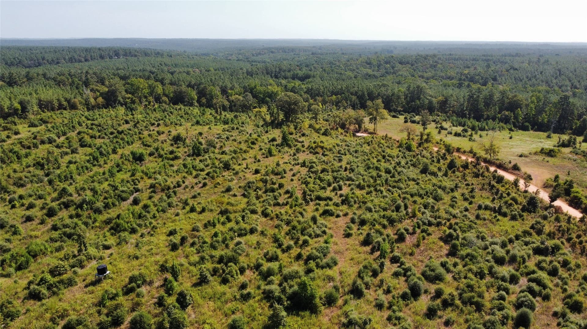 77.15 acres in Nacogdoches County - photo 18