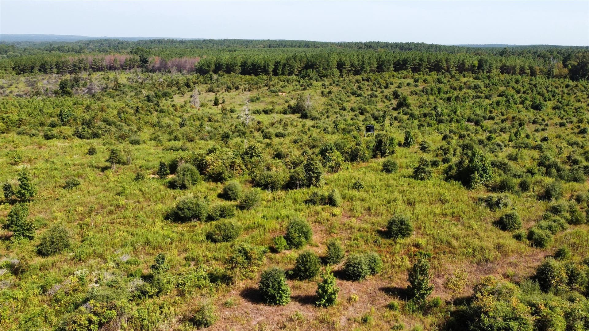 77.15 acres in Nacogdoches County - photo 23