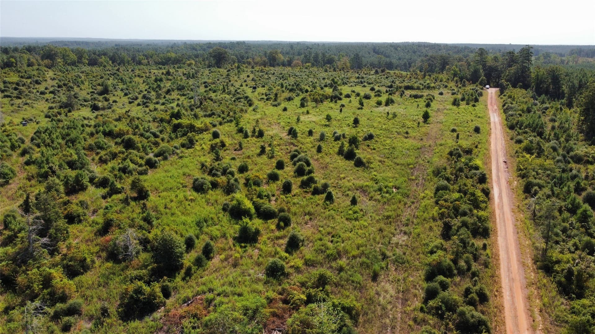 77.15 acres in Nacogdoches County - photo 15