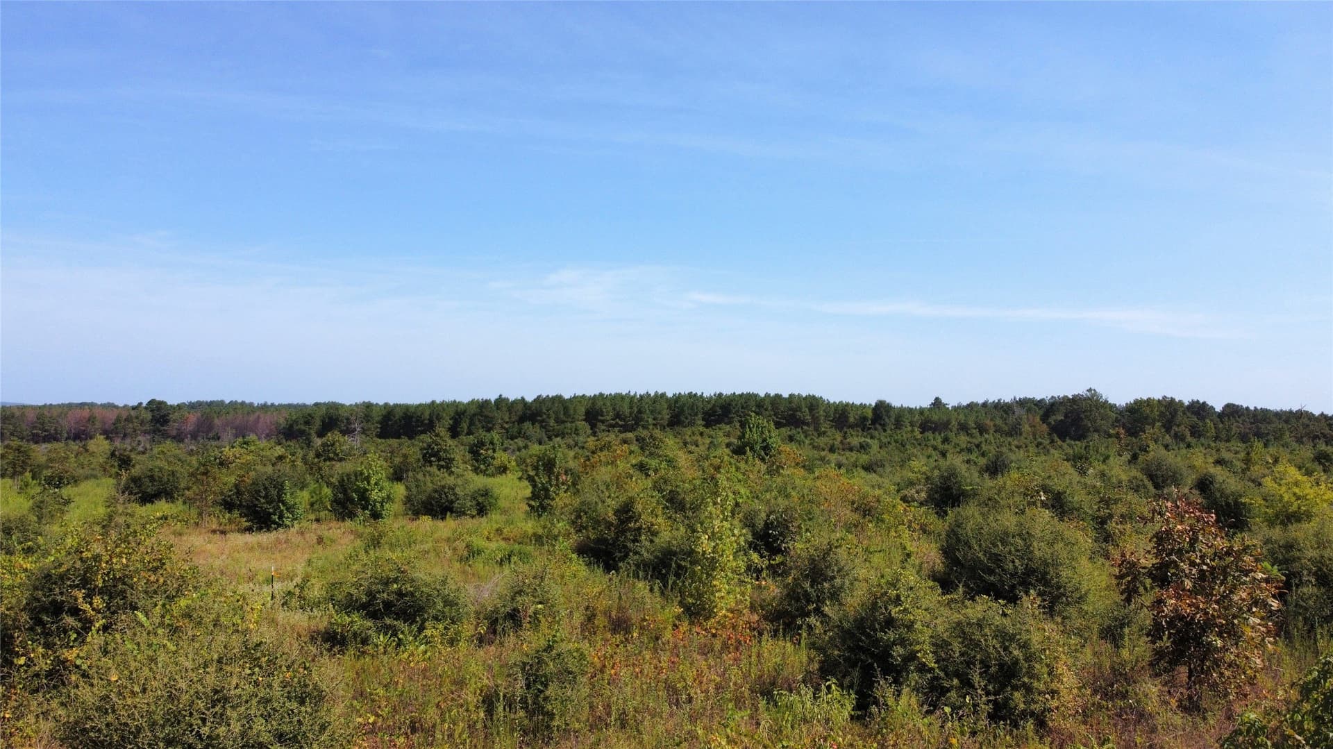 77.15 acres in Nacogdoches County - photo 24