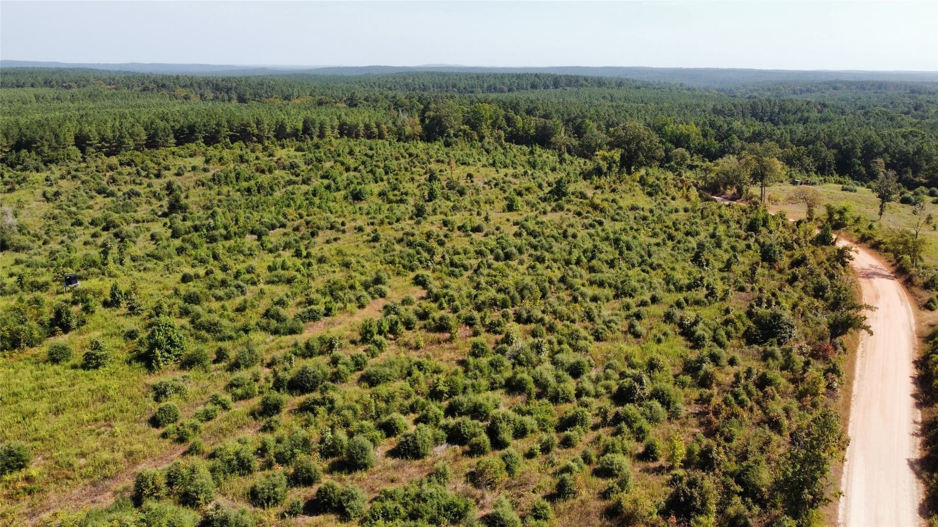 77.15 acres in Nacogdoches County - photo 20