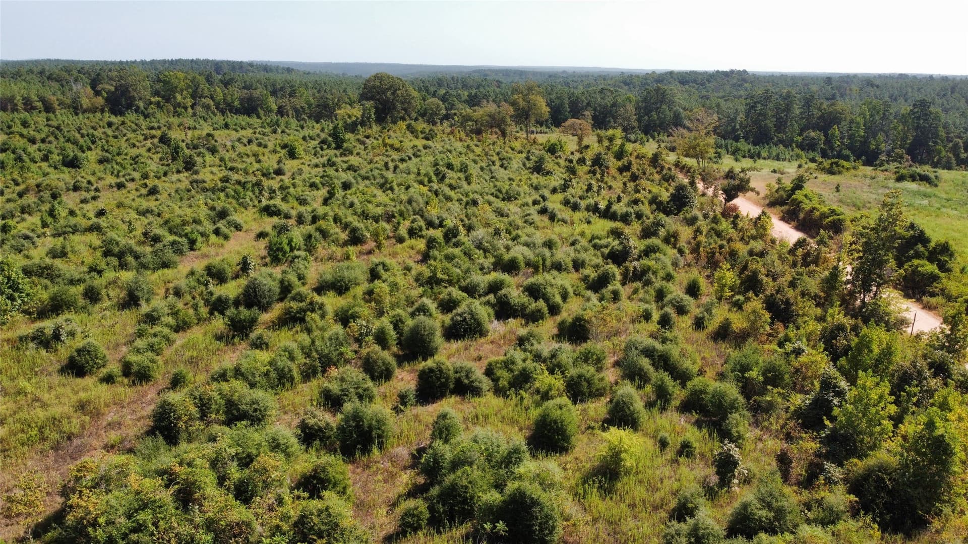 77.15 acres in Nacogdoches County - photo 22